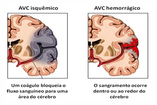 Imagem 4 folha 6